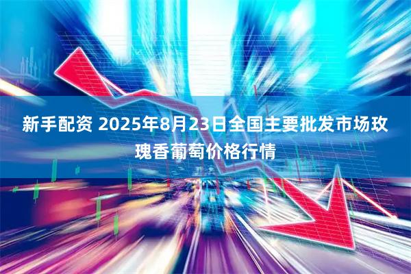 新手配资 2025年8月23日全国主要批发市场玫瑰香葡萄价格行情